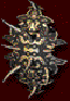 shield-swordback